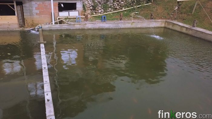 Finca #1203 Barbosa - Finca en Barbosa, Antioquia